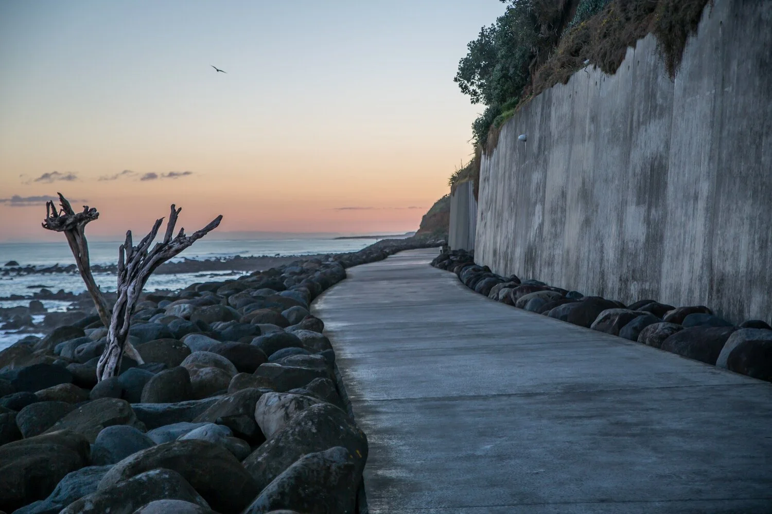 New Plymouth,Coastal Walk,-6301.JPG
