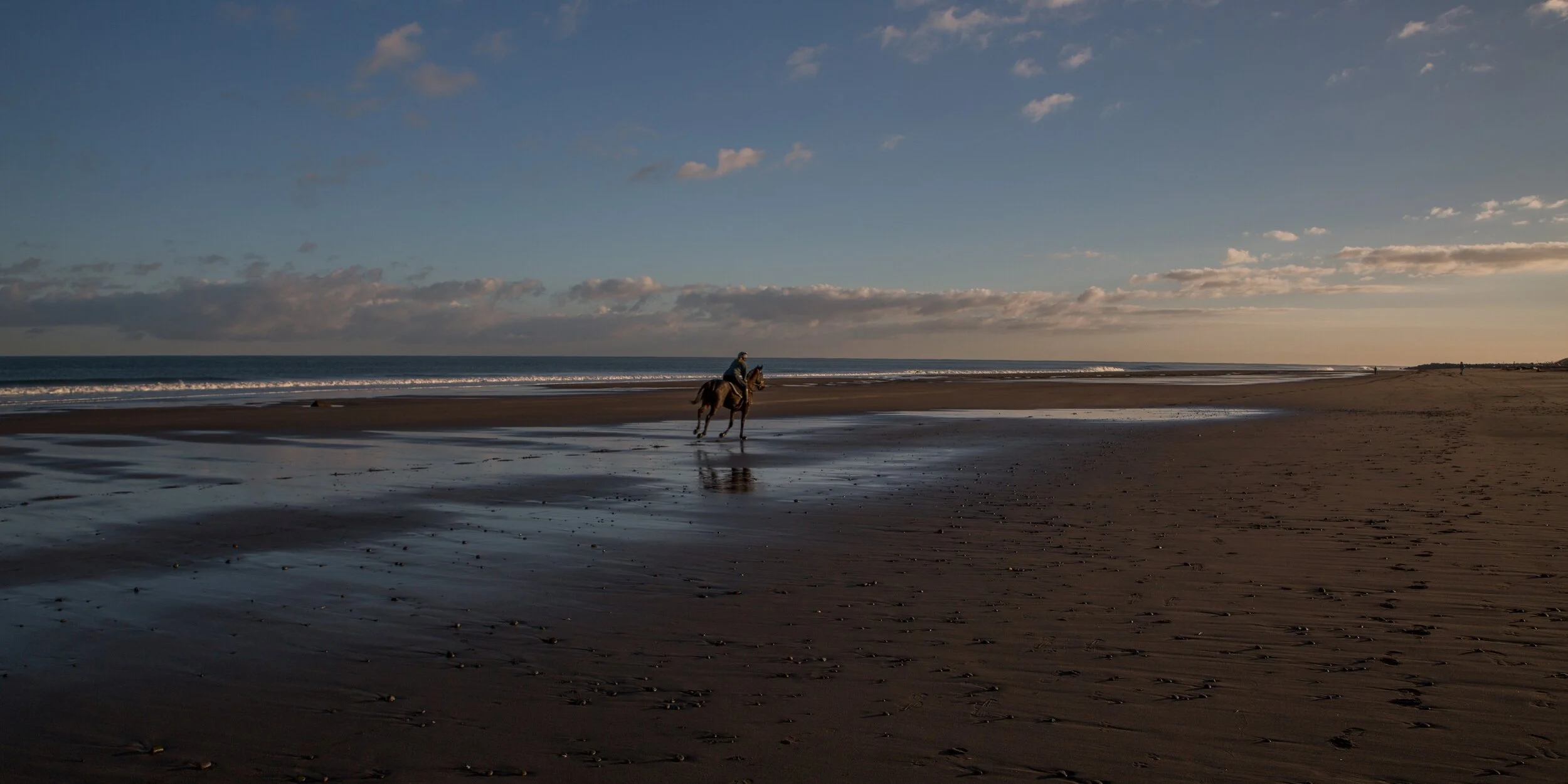 New Plymouth,Coastal Walk,-6317.JPG