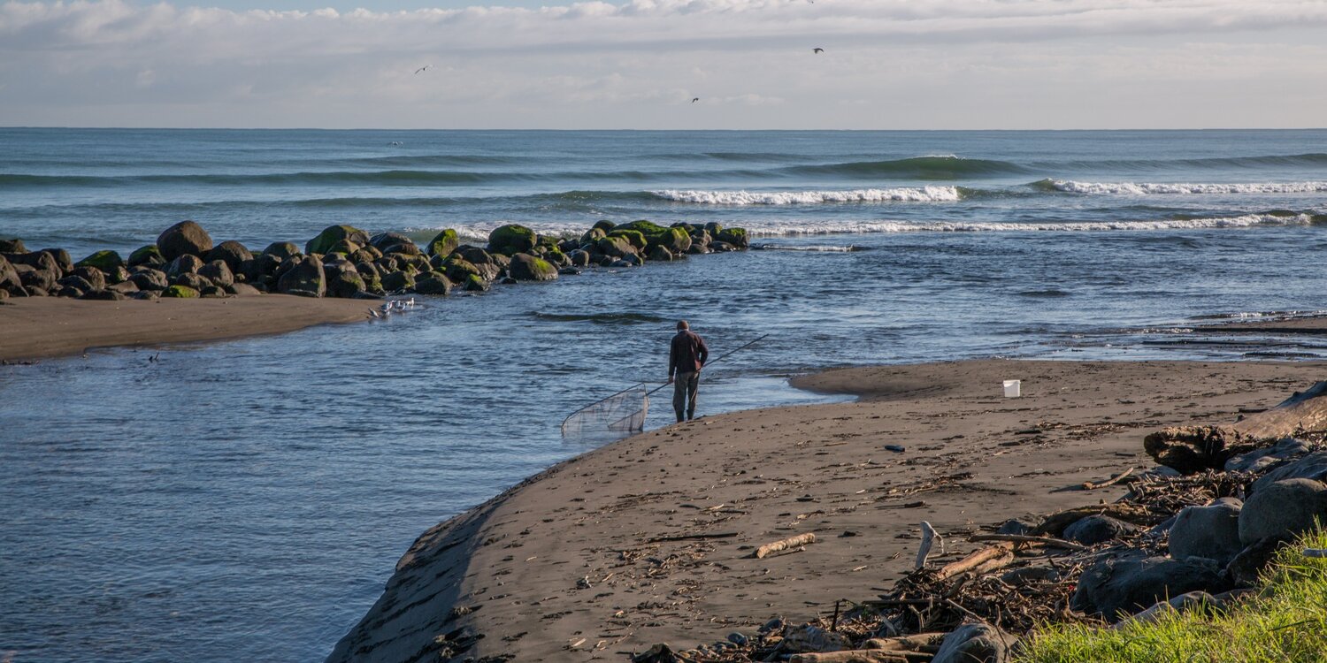 New Plymouth,Coastal Walk,-6335.JPG