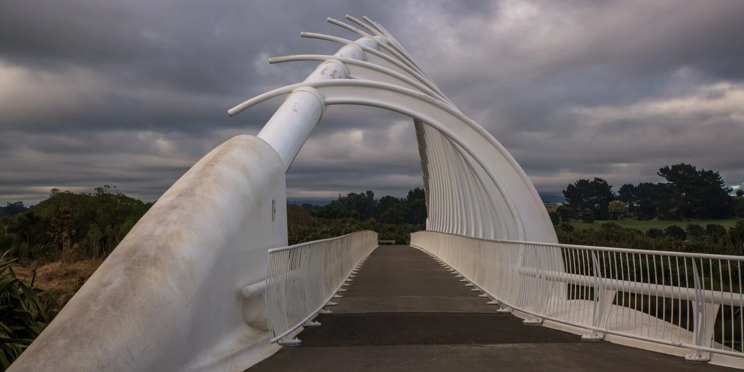 New Plymouth,Te Rewa Rewa Bridge,-6627.JPG