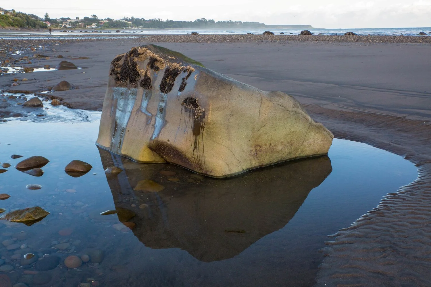 Taranaki Coast,-6473.JPG