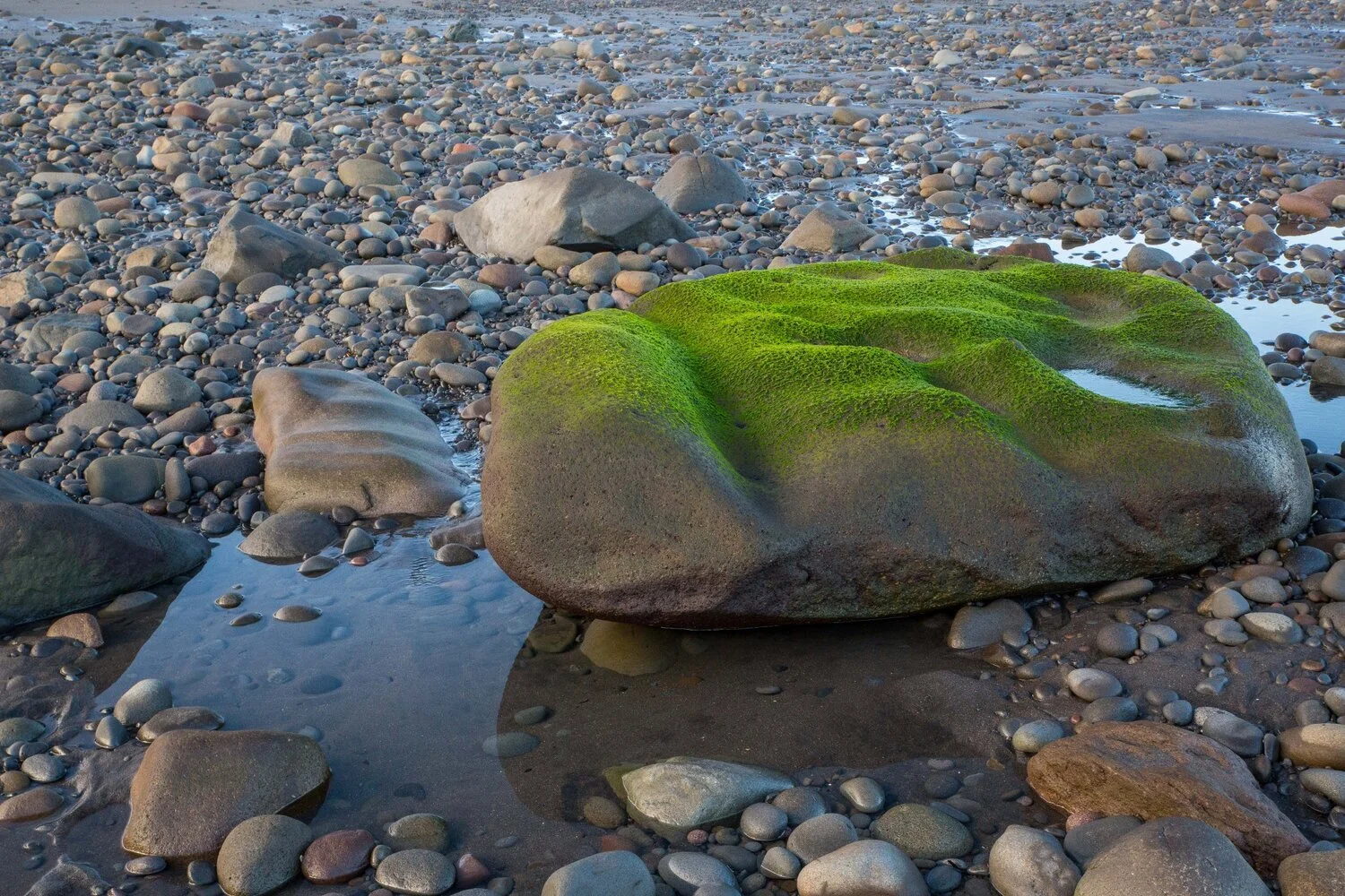 Taranaki Coast,-6474.JPG