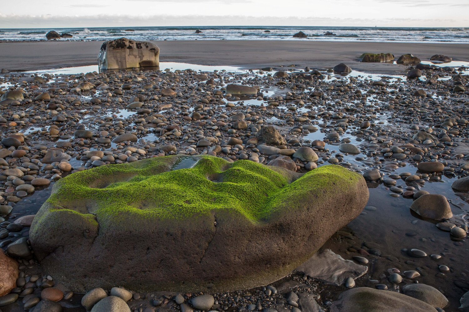 Taranaki Coast,-6475.JPG