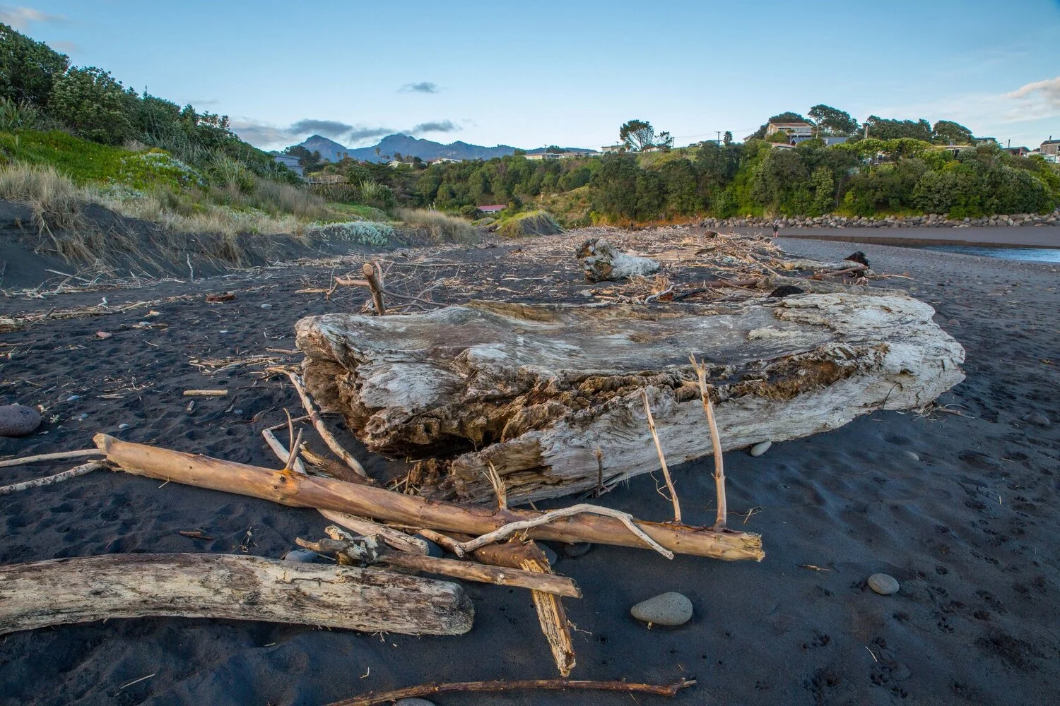 Taranaki Coast,-6476.JPG
