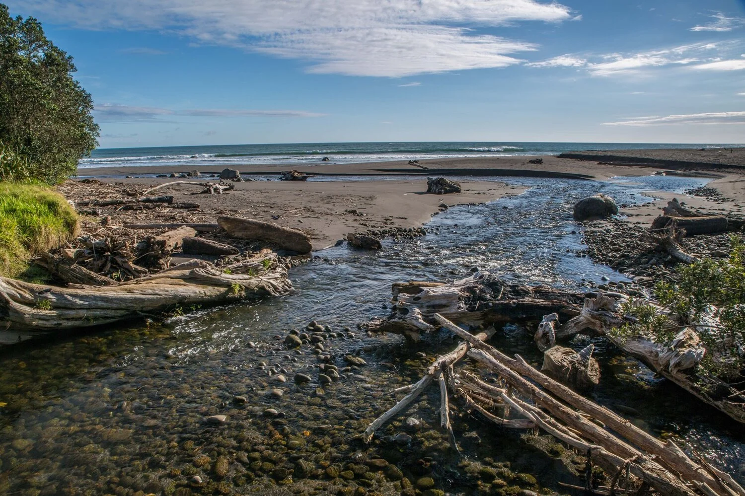 Taranaki Coast,-6484.JPG