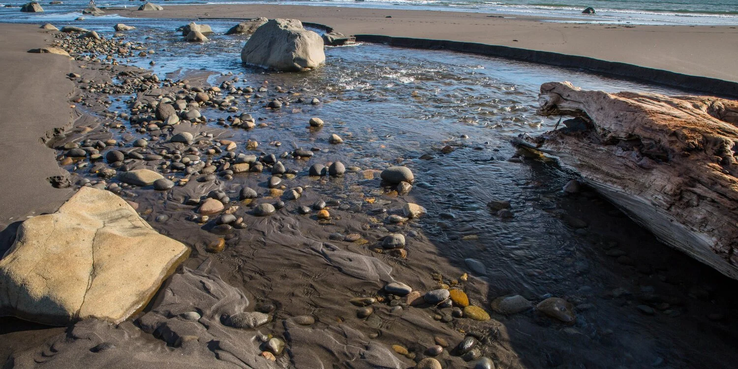 Taranaki Coast,-6489a.JPG