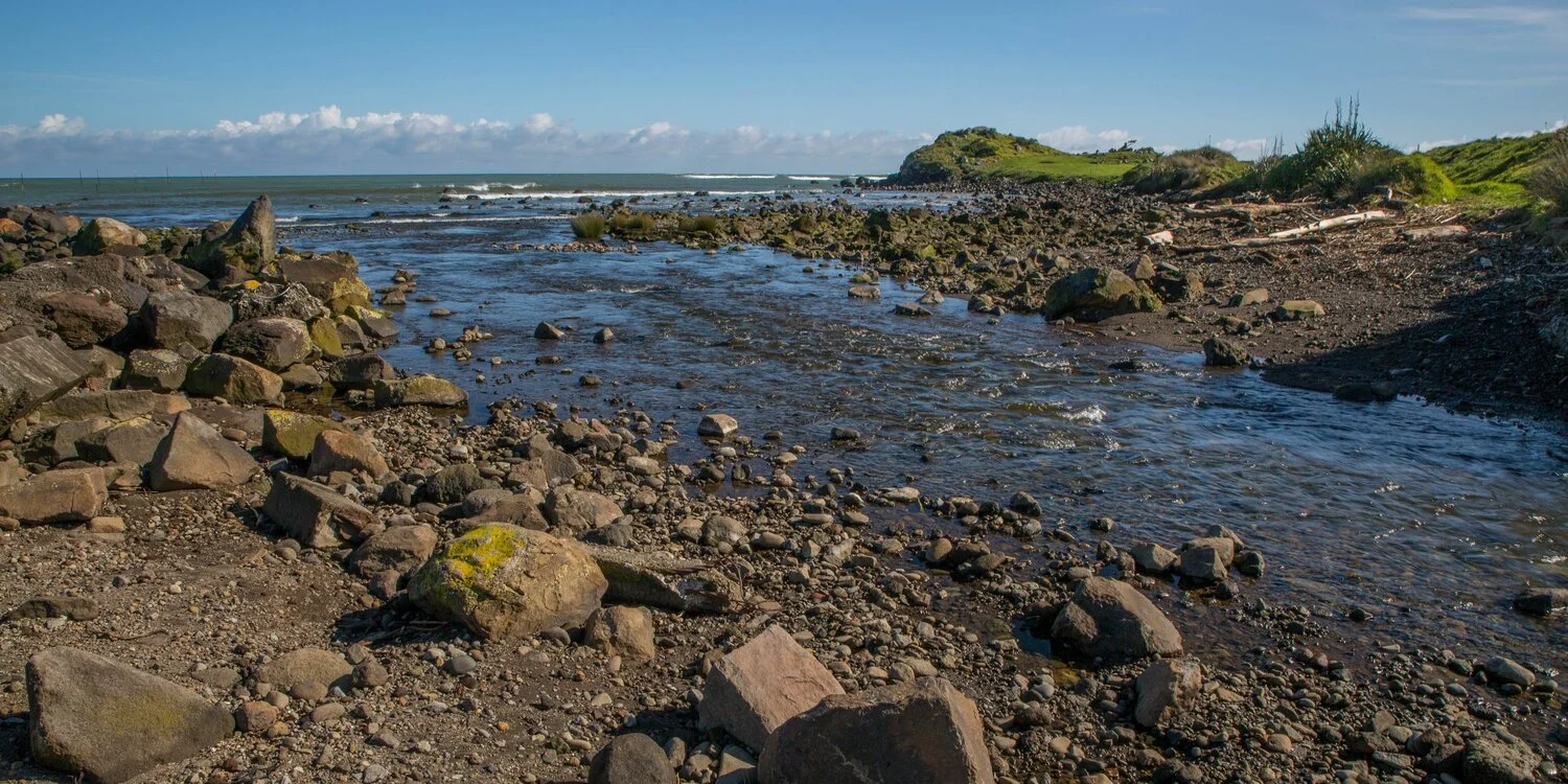 Taranaki Coast,-6504.JPG