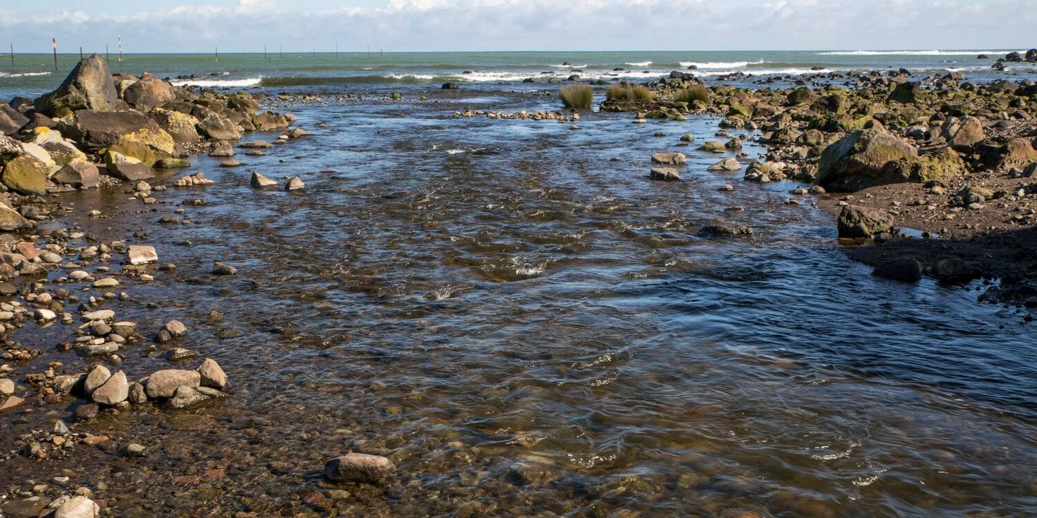 Taranaki Coast,-6508.JPG