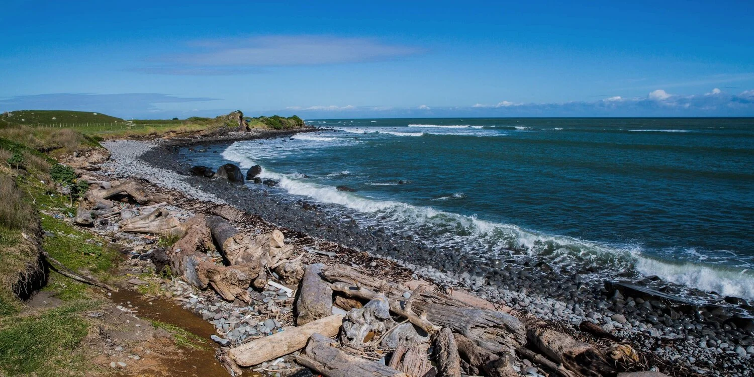Taranaki Coast,-6523.JPG