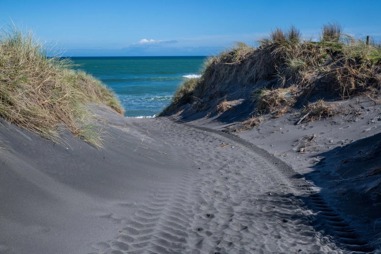 Taranaki Coast,-6540.JPG