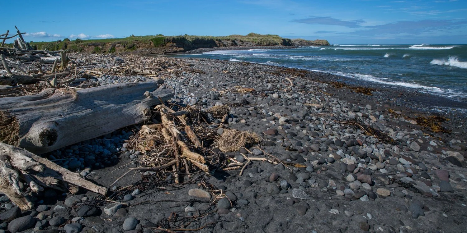 Taranaki Coast,-6542.JPG
