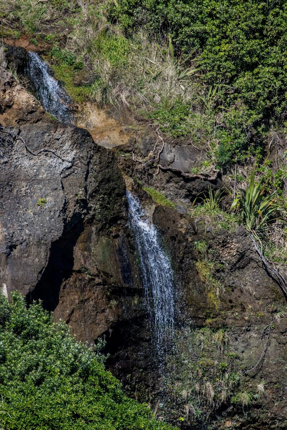 Taranaki Coast,Opunake,-5283.JPG