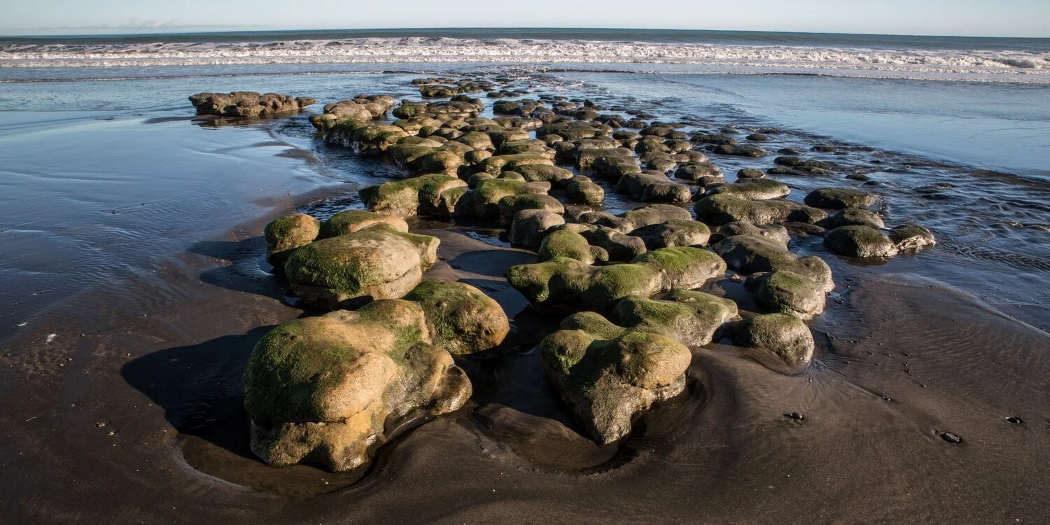 Waiiti Beach,-6020.JPG