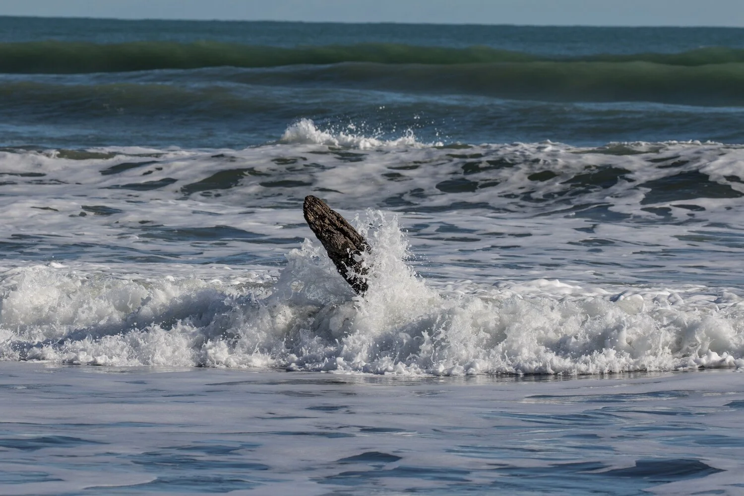 Waitoetoe Beach,-4433.JPG