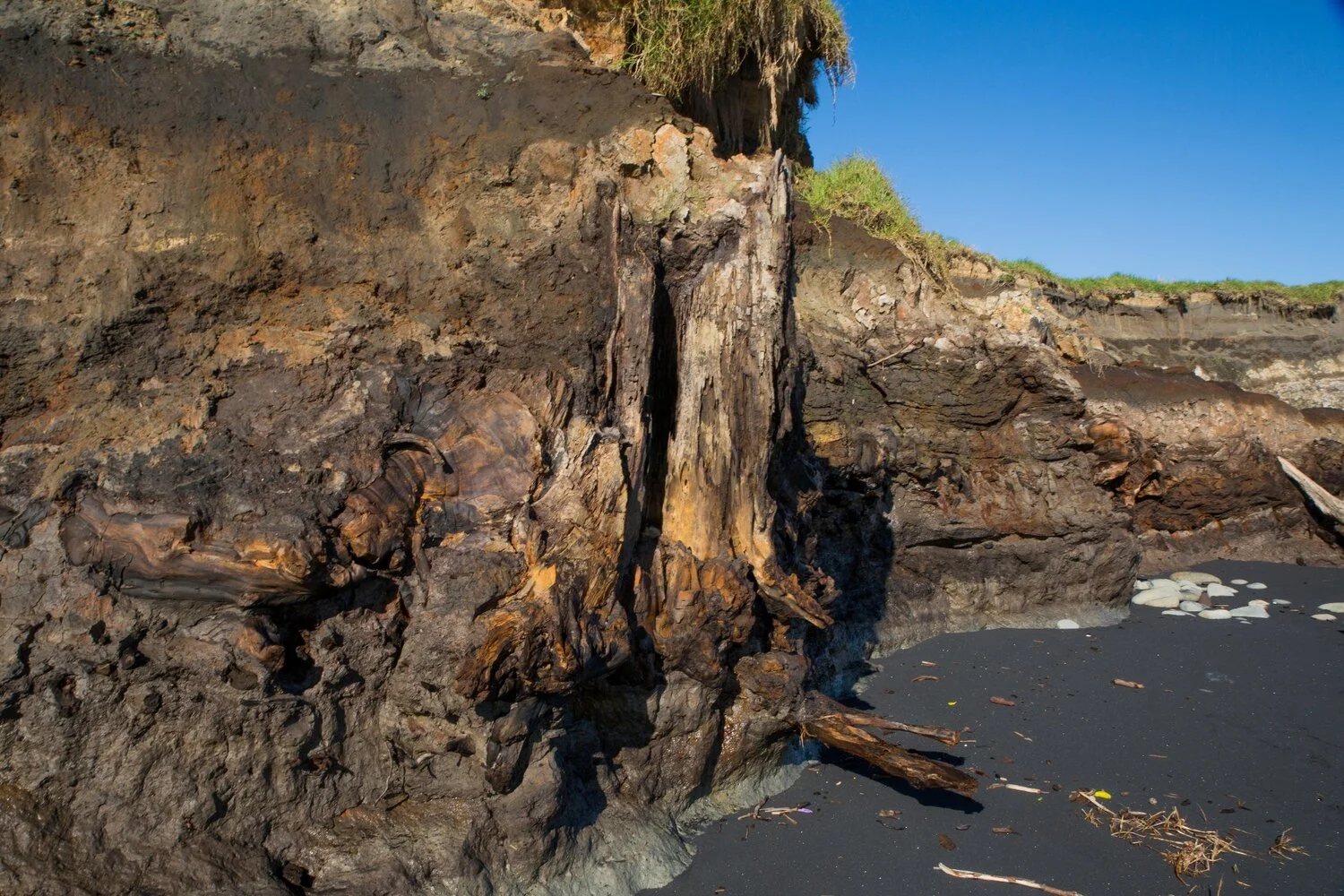 Waitoetoe Beach,-6059.JPG
