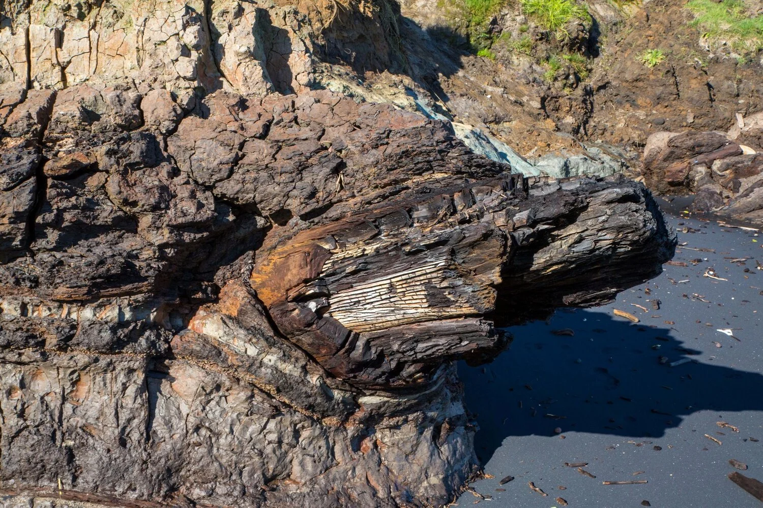 Waitoetoe Beach,-6061.JPG