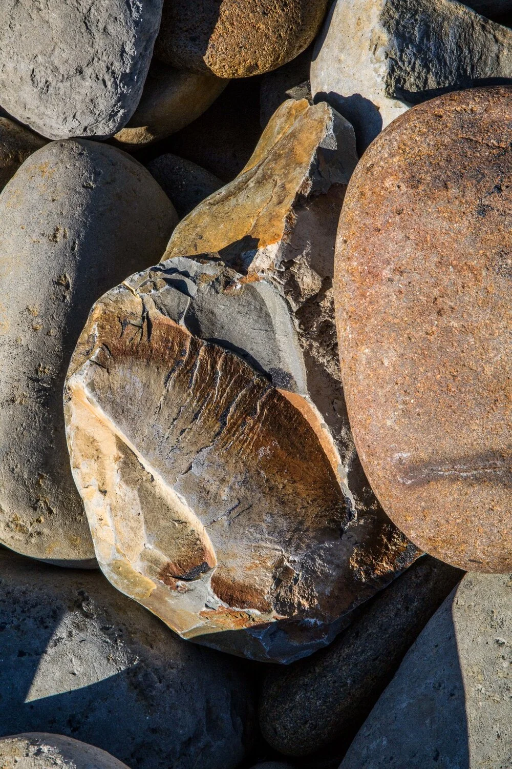 Waitoetoe Beach,-6067.JPG