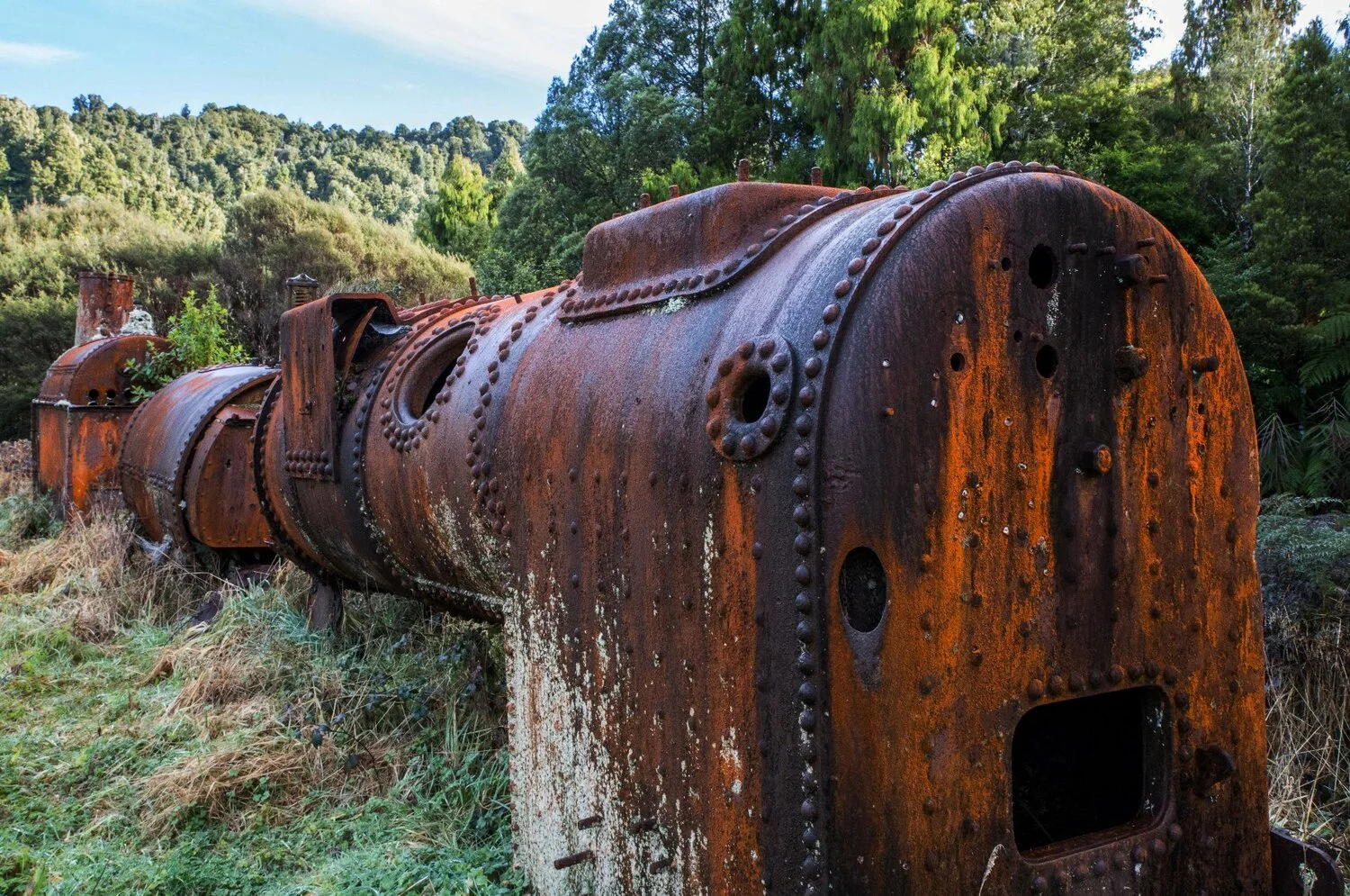 Moki Forest,-5939.JPG