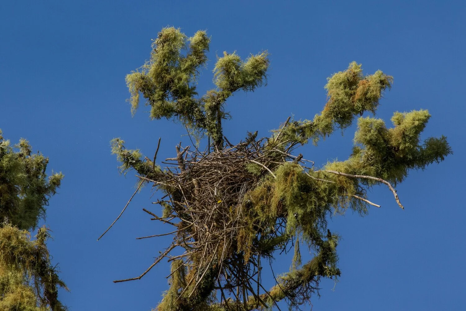 Mt Damper Falls,-4371.JPG