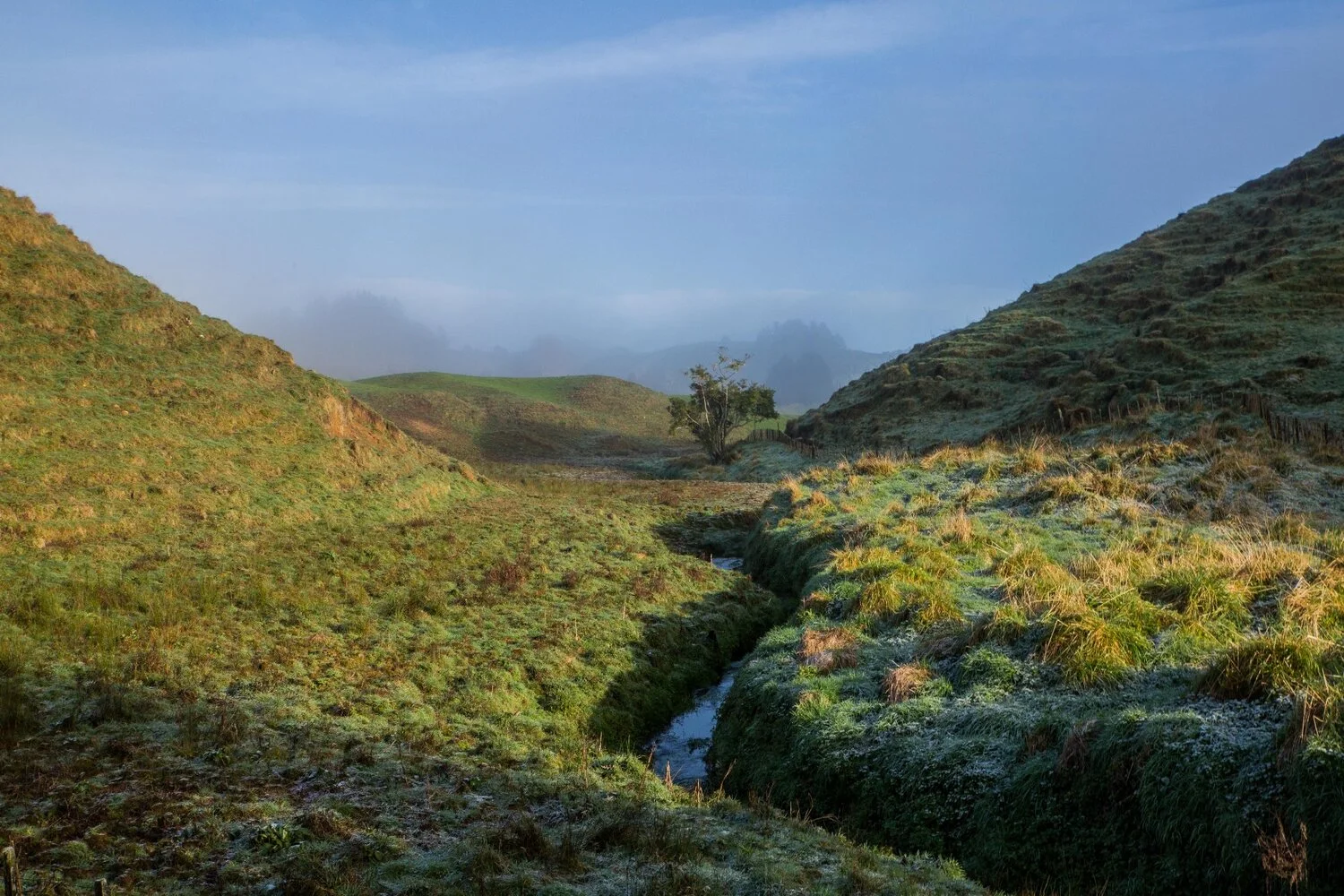 Mt Damper Falls,-5896.JPG