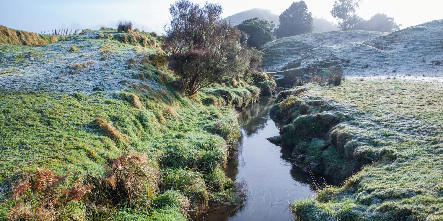 Mt Damper Falls,-5899.JPG