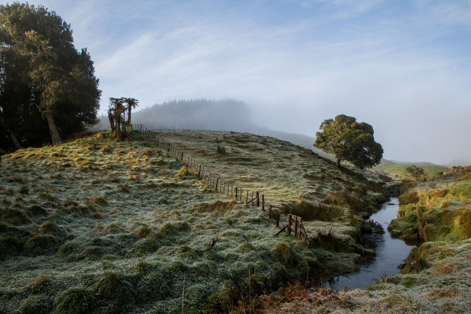 Mt Damper Falls,-5902.JPG