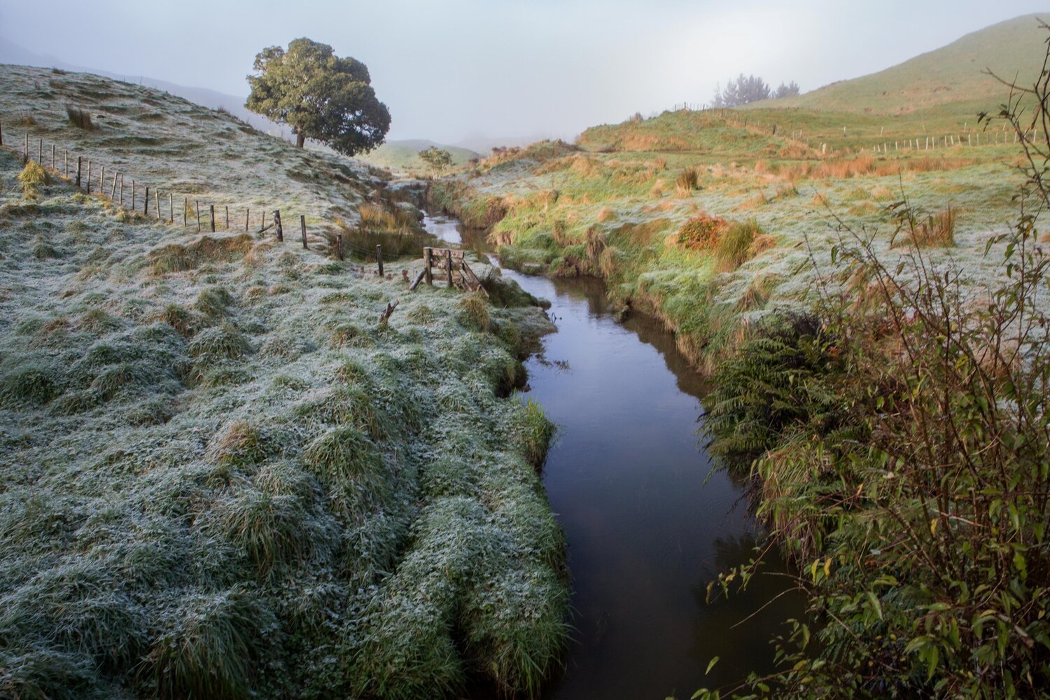Mt Damper Falls,-5903.JPG