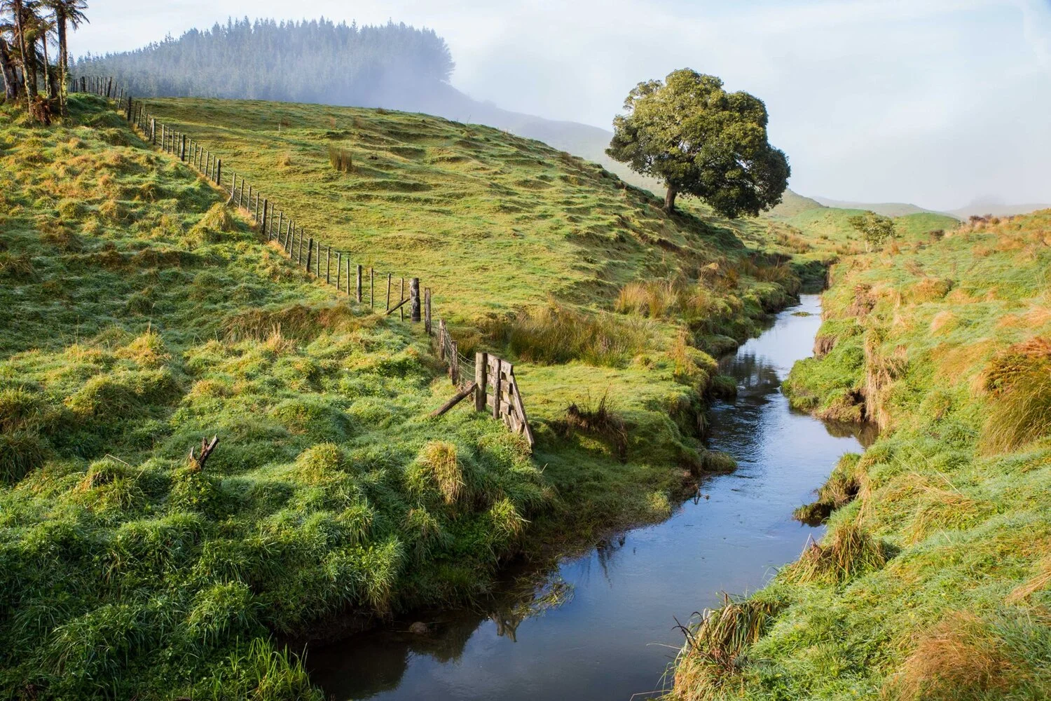 Mt Damper Falls,-5927.JPG