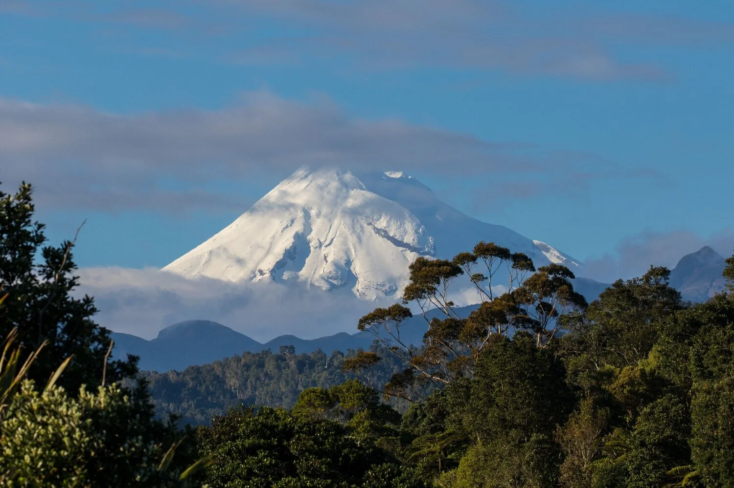 Mt Taranaki,-5249.JPG
