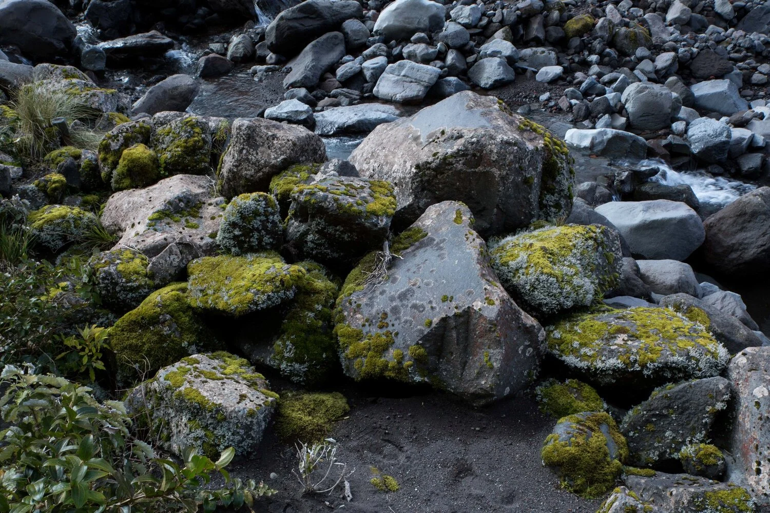 Mt Taranaki,Dawson Falls Tracks,-6408.JPG