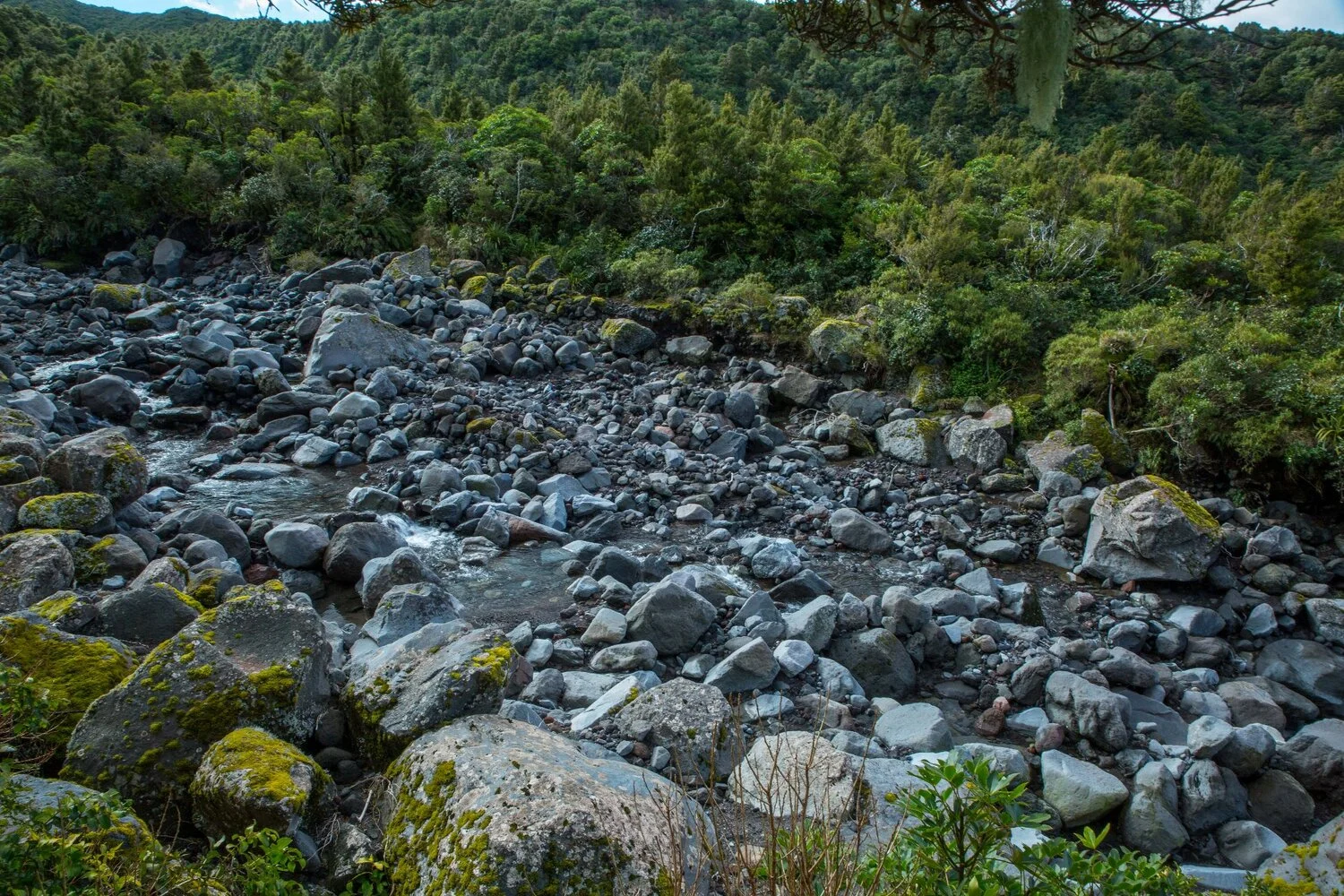 Mt Taranaki,Dawson Falls Tracks,-6409.JPG