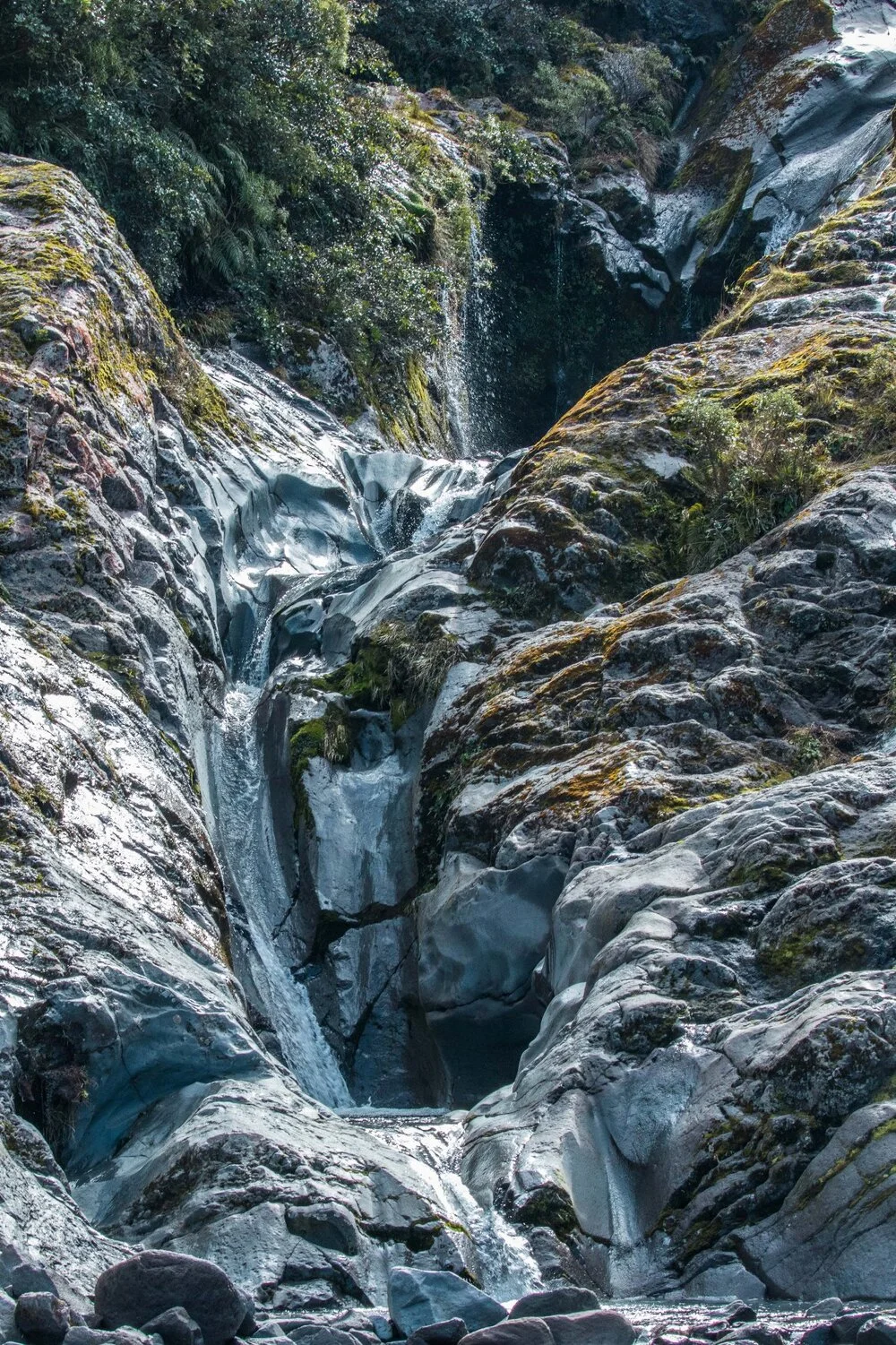 Mt Taranaki,Dawson Falls Tracks,Wilkies Pools,-5209.JPG