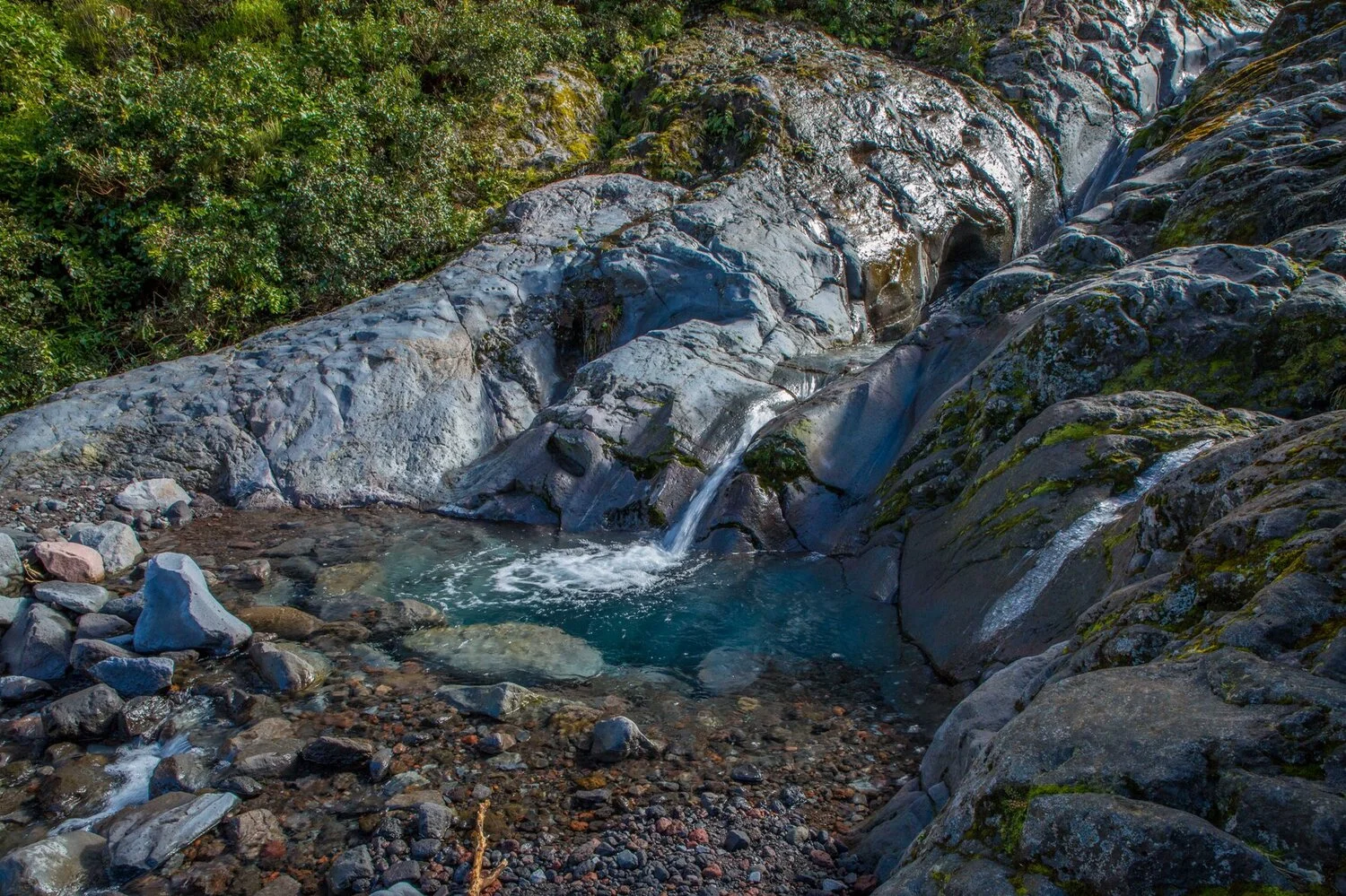 Mt Taranaki,Dawson Falls Tracks,Wilkies Pools,-6391.JPG