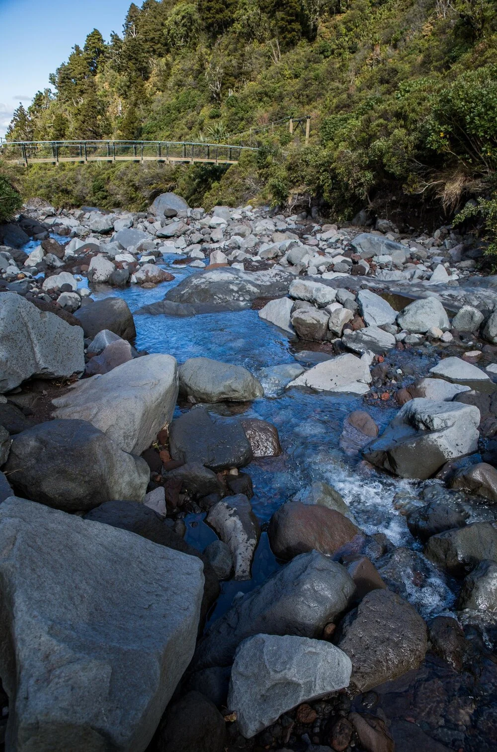 Mt Taranaki,Dawson Falls Tracks,Wilkies Pools,-6398.JPG