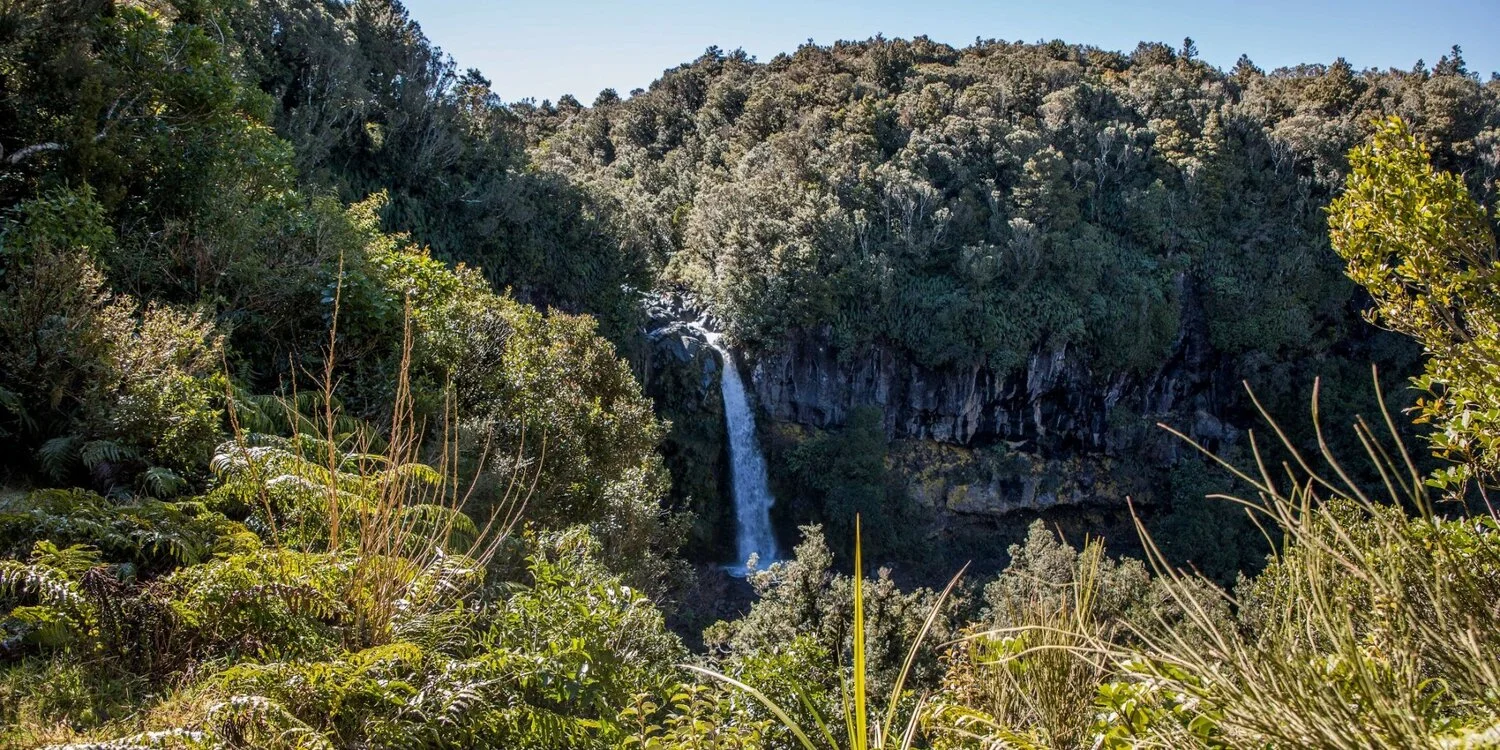 Mt Taranaki,Dawson Falls,-6357.JPG