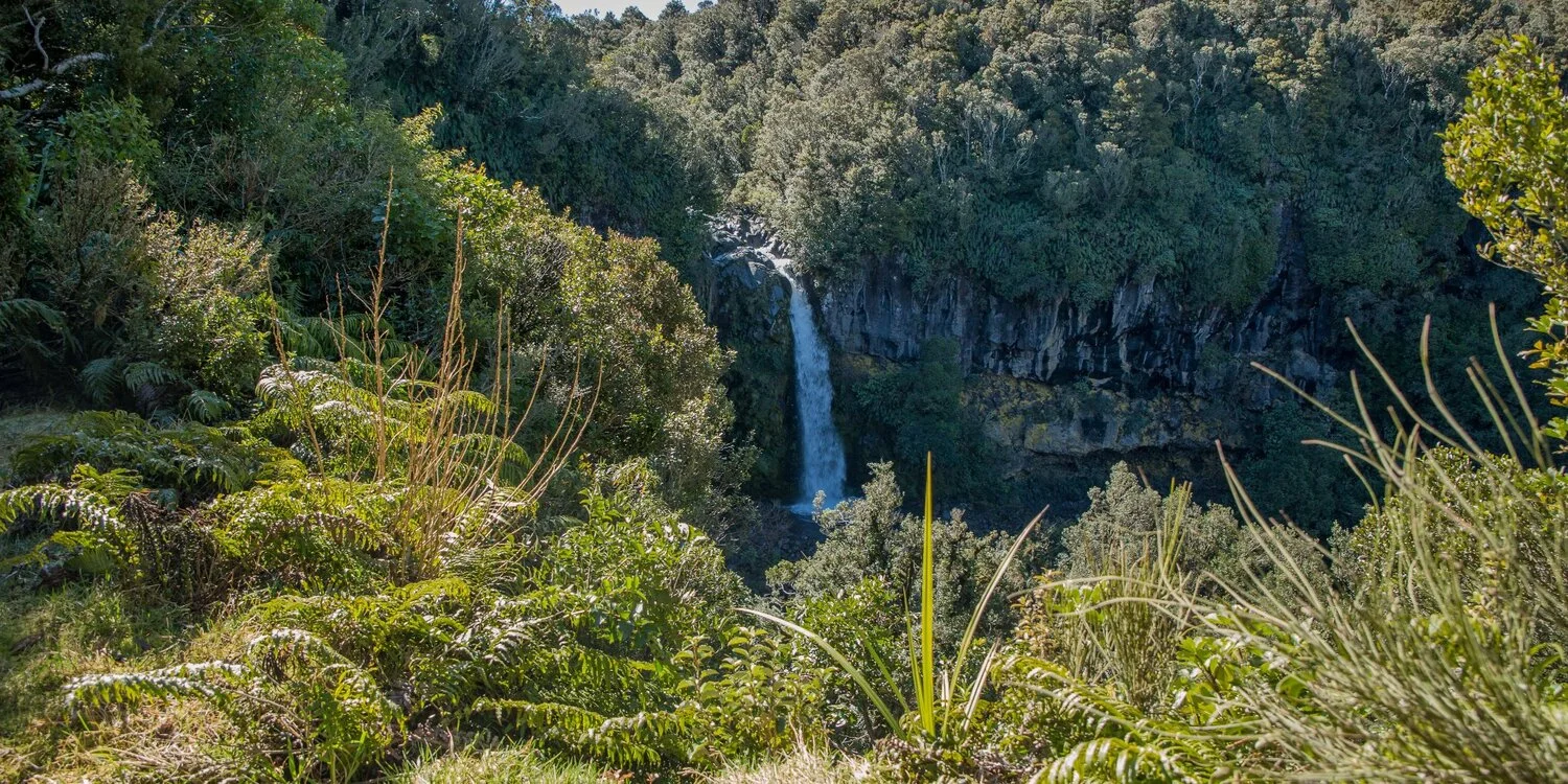 Mt Taranaki,Dawson Falls,-6358.JPG