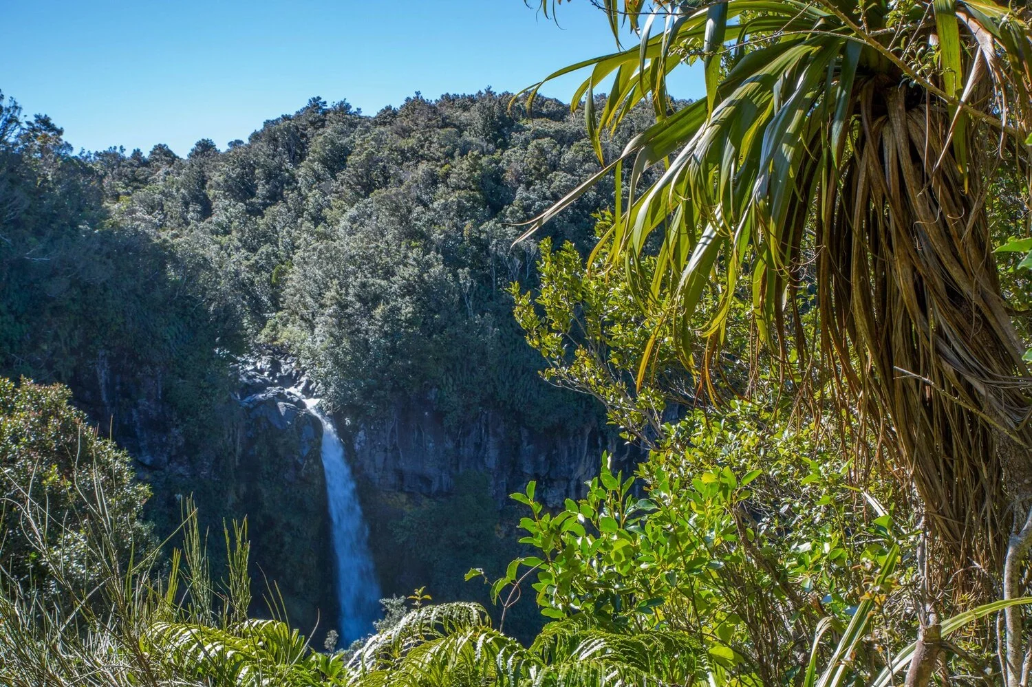 Mt Taranaki,Dawson Falls,-6361.JPG