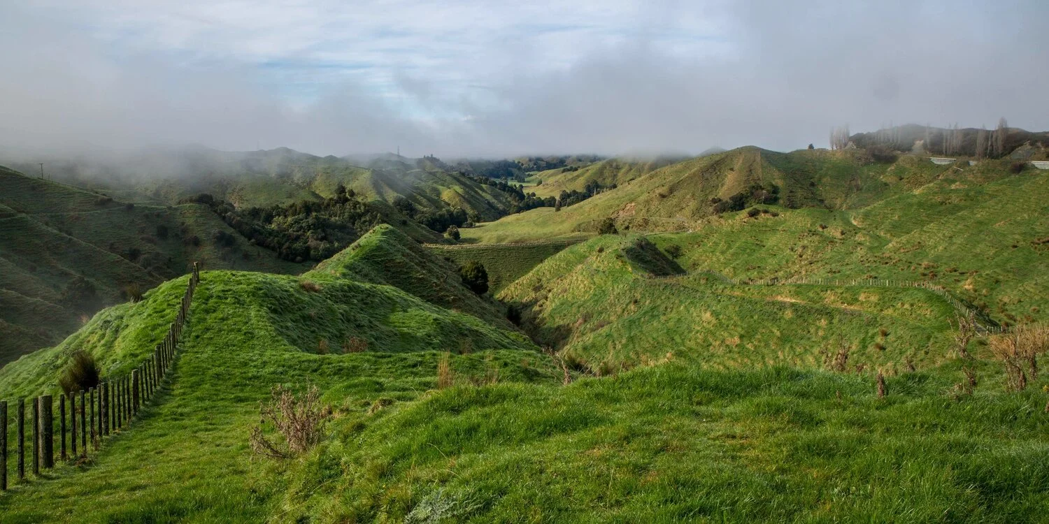 Tahora Saddle,-5952.JPG