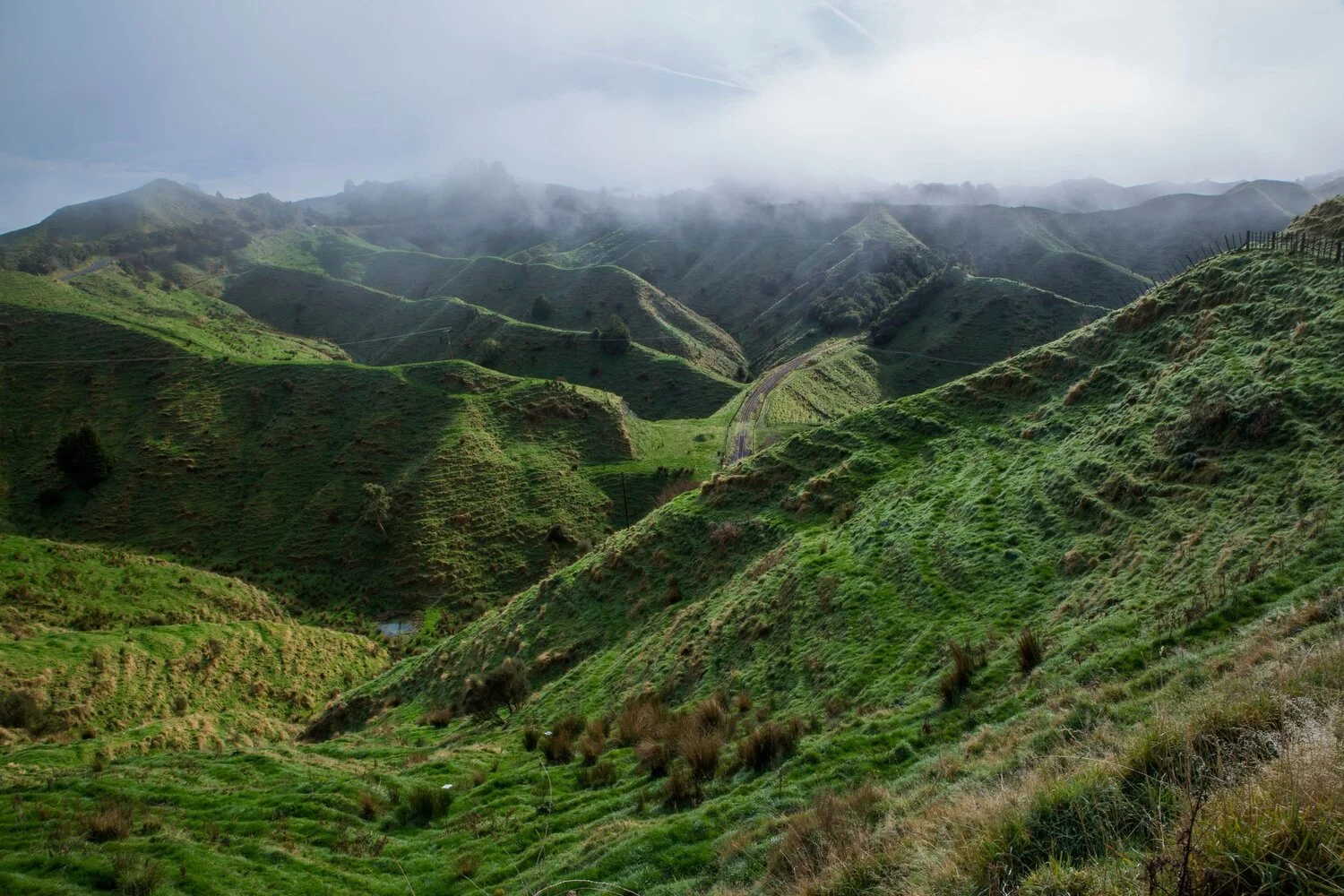 Tahora Saddle,-5953.JPG