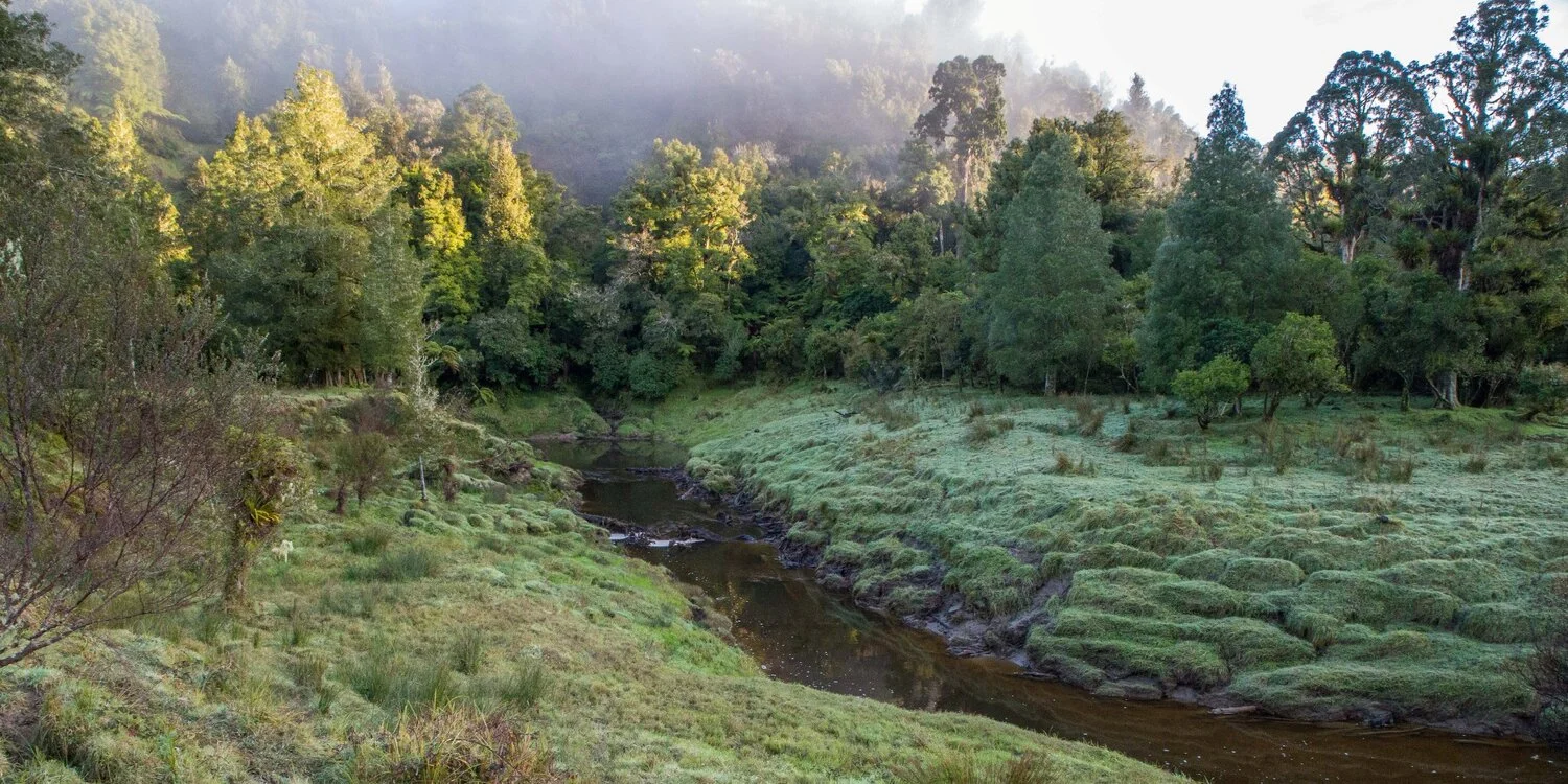 Taranaki Hinterland,-5884.JPG