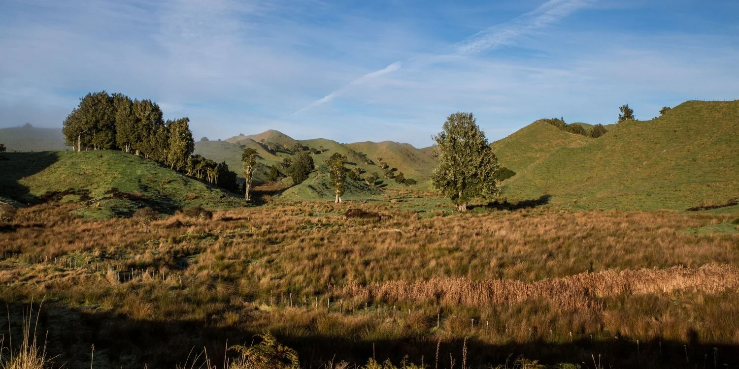 Taranaki Hinterland,-5886.JPG