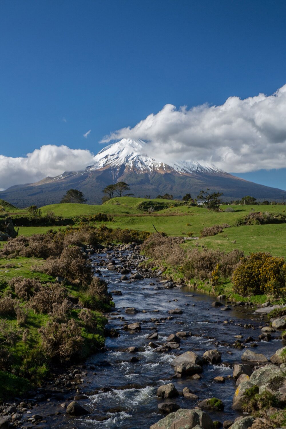 Taranaki,-6582.JPG