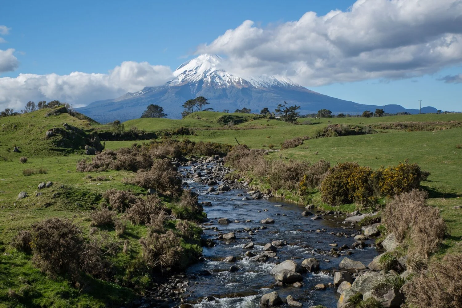 Taranaki,-6583.JPG