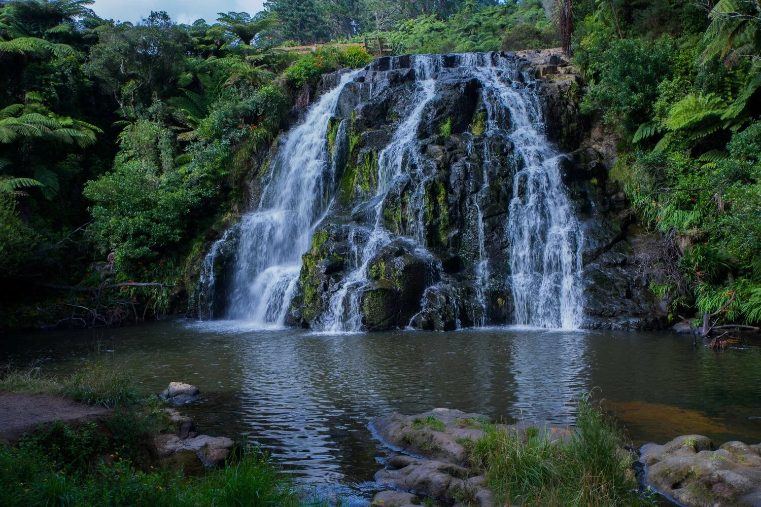 Owharoa Falls,-047.JPG
