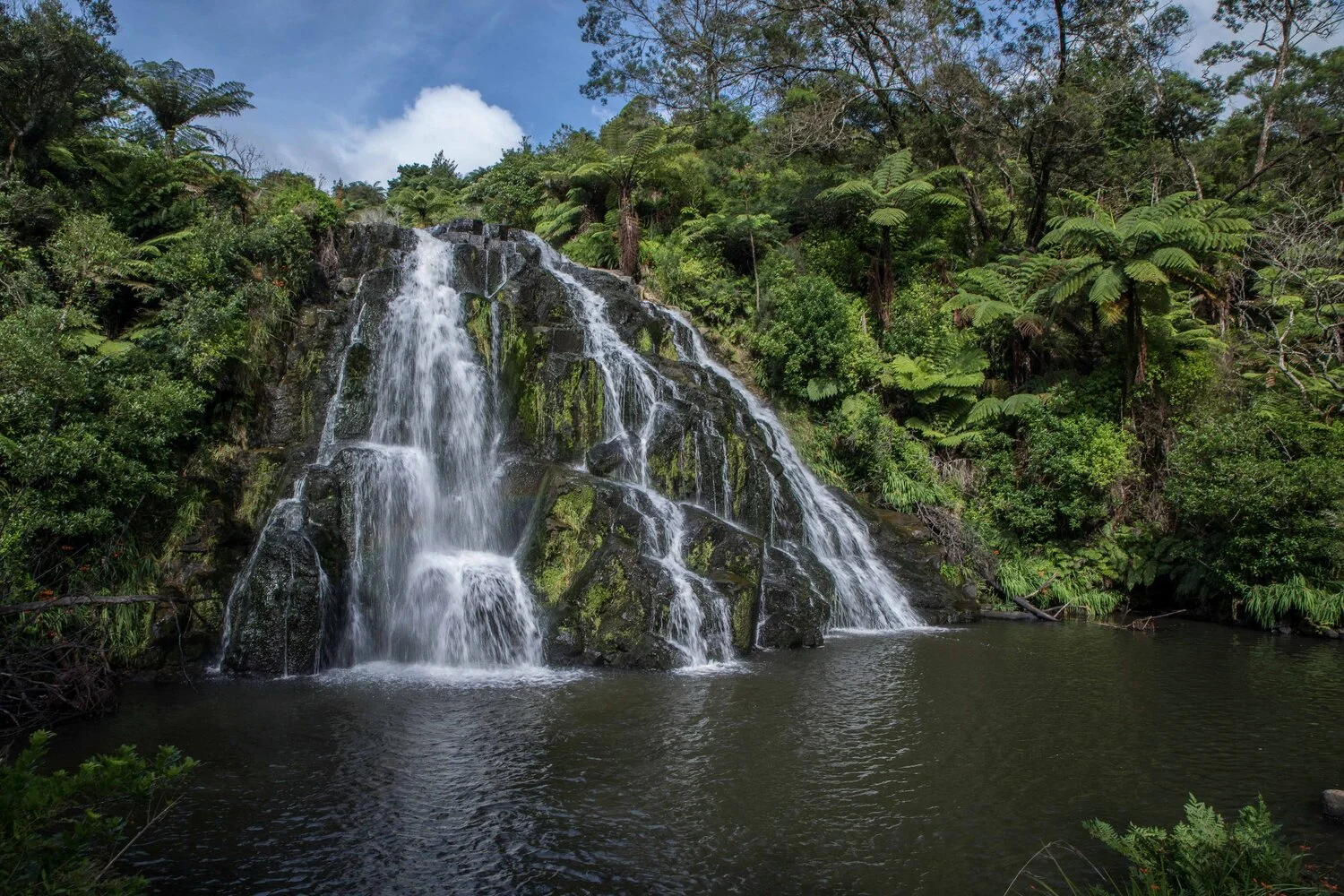 Owharoa Falls,-050.JPG