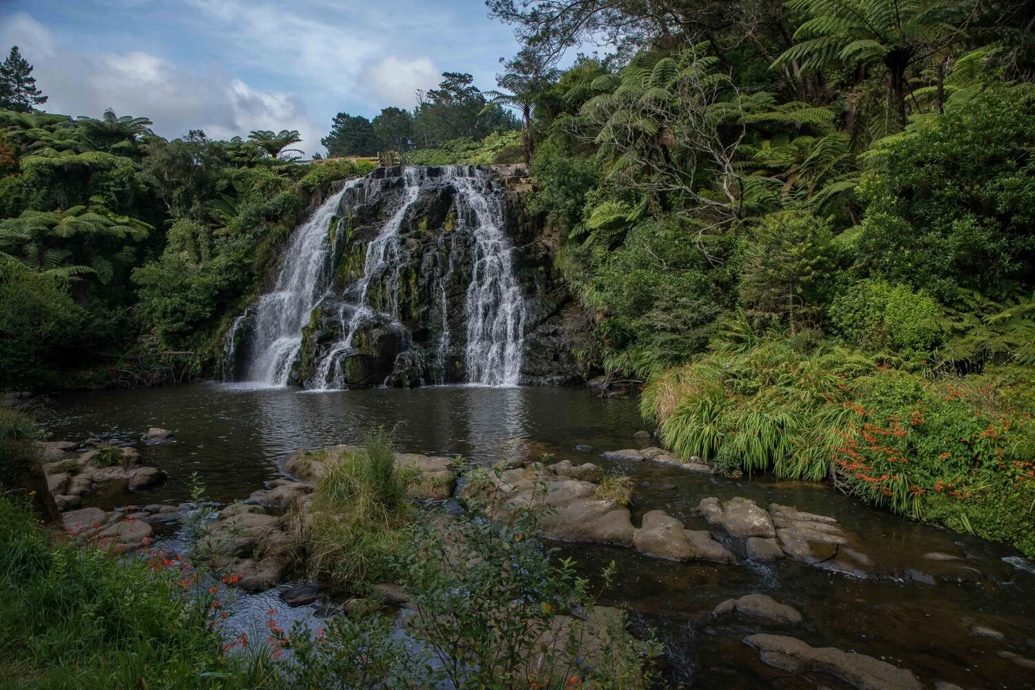 Owharoa Falls,-053.JPG