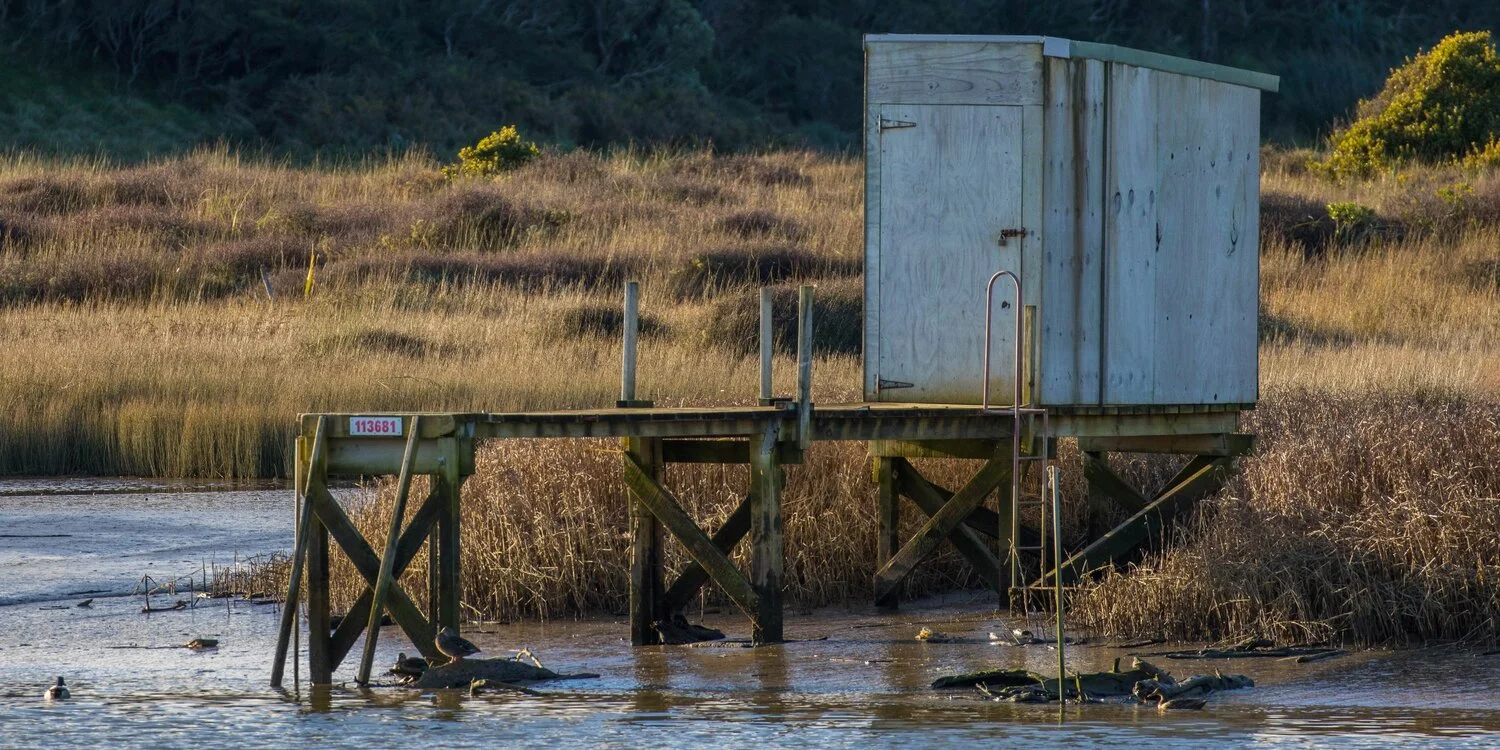 Awakino River,-4124.JPG