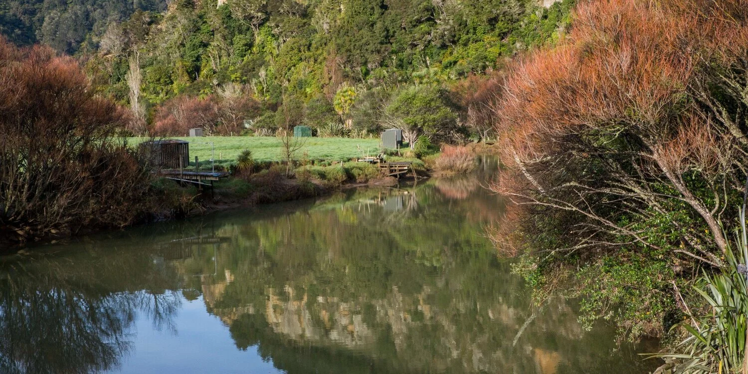 Awakino River,-5661.JPG