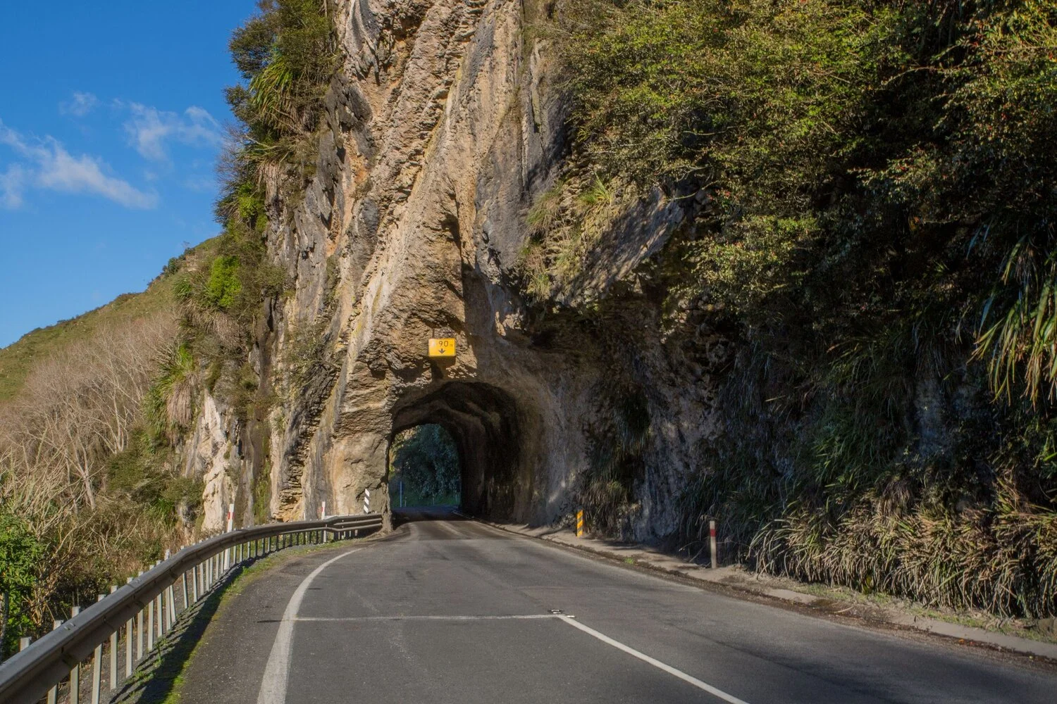 Awakino Tunnel,Waikato-5607.JPG