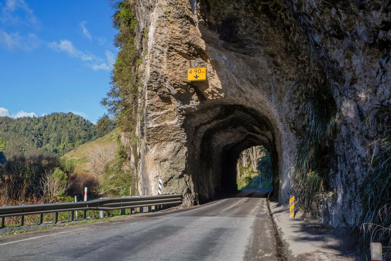Awakino Tunnel,Waikato-5608.JPG